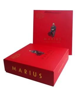 2016 Luxury Packaging Cardboard Wine Box (YY-W0236)