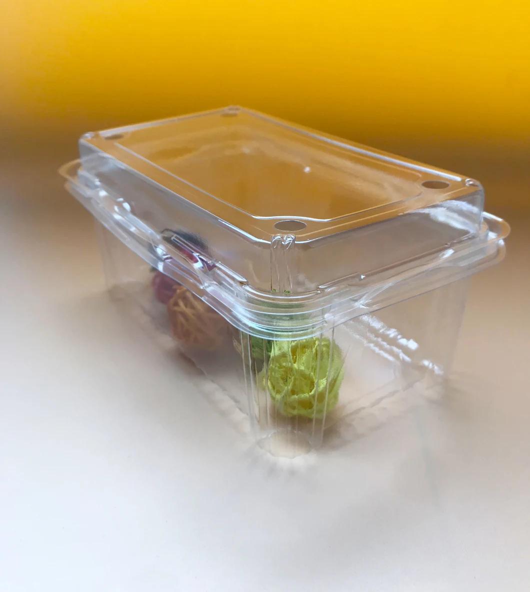 High quality disposable food grade fruit blister packaging plastic clamshell
