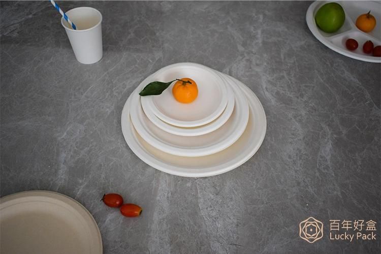 Disposable Compostable Biodegradable Tableware Sugarcane Bagasse Paper 6 Inch Round Plate
