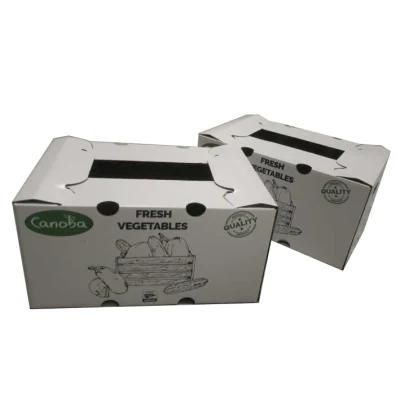 Huge White Recycled Paper Cardboard Carton Storage Box for Fresh Fruit