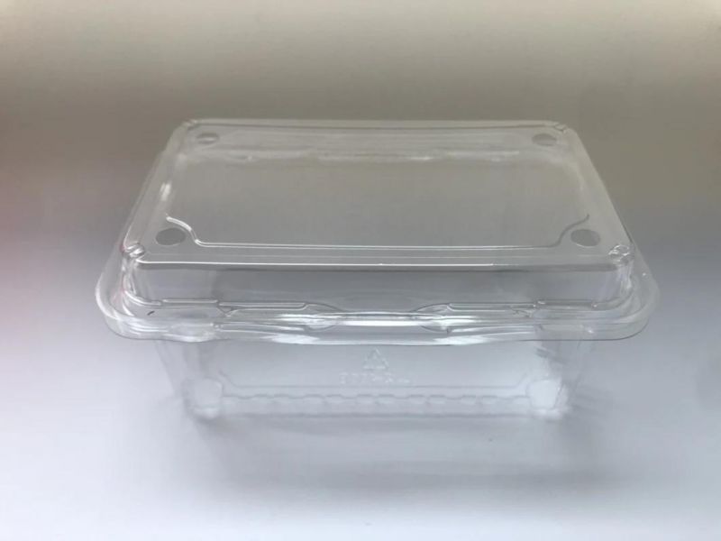 High quality disposable food grade fruit blister packaging plastic clamshell