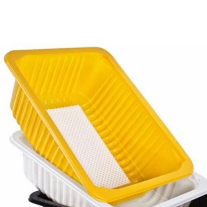 Compostable Biodegradable Foaming PLA Snack-Box