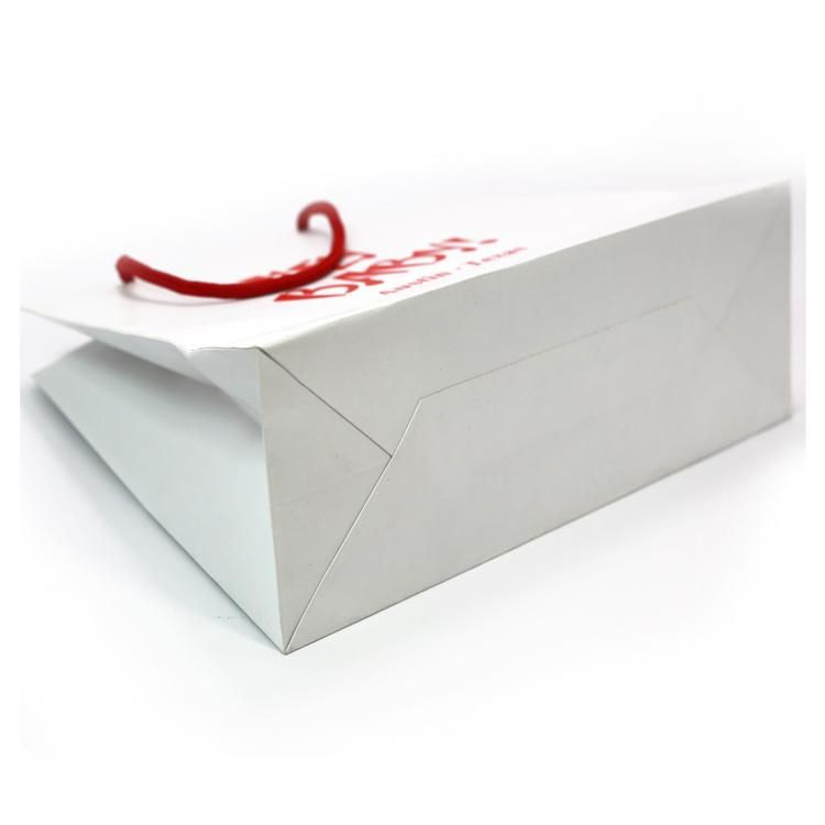 Special Shape Custom Design Logo Printed Coated Paper Shopping Bag
