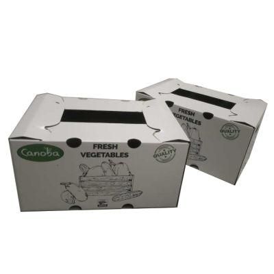 Cute White Packaging Printing Box for Fruit Delivery with One Hole