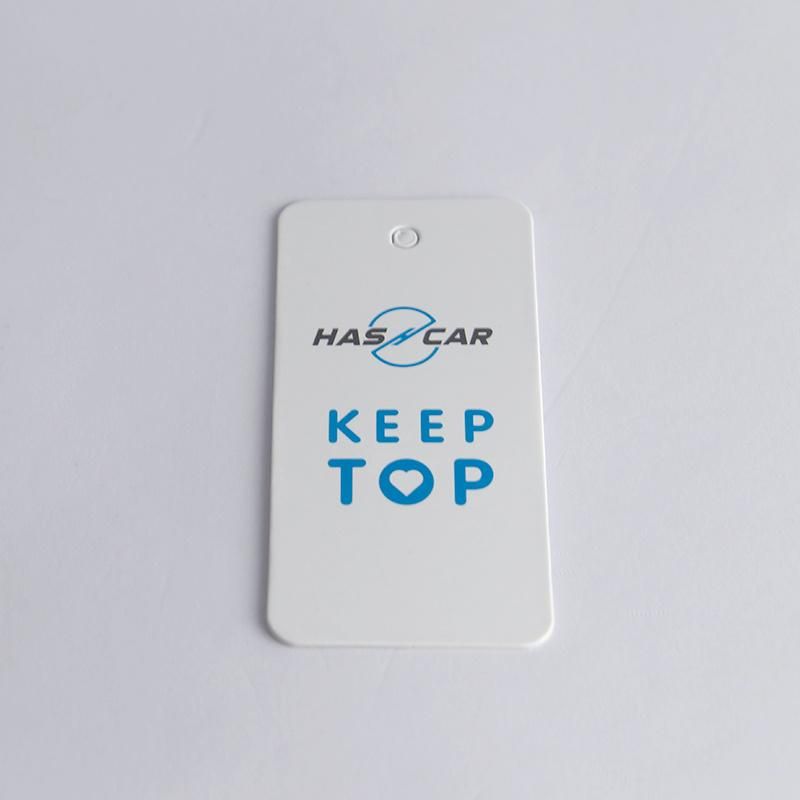 Small MOQ Thick Paper Blue Logo Hang Tag