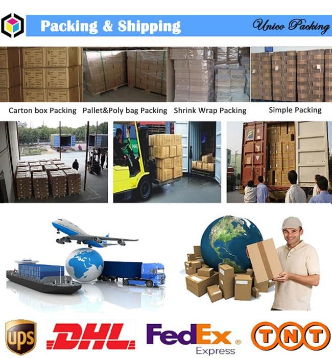 Full Color Printed Packaging Corrugated Box