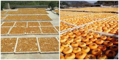Food Grade PP Stackable Freezing Plastic Drying Tray