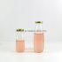 300ml Clear Coffee Drinking Glass Bottle 500ml