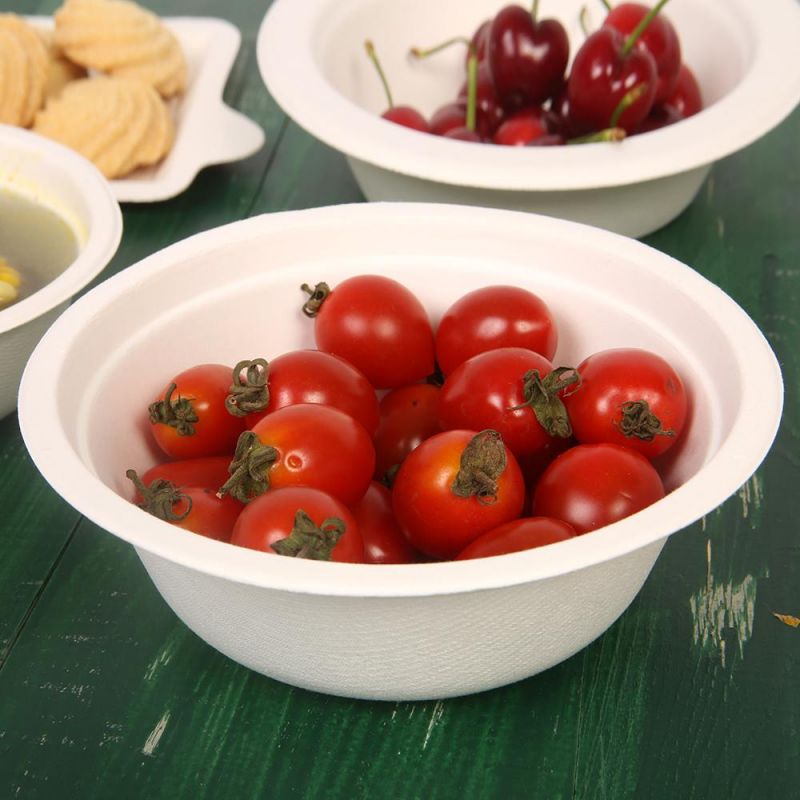 Bagasee Food Bolw with Per Lid Ofr Salad