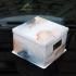 The Popular Cake Box