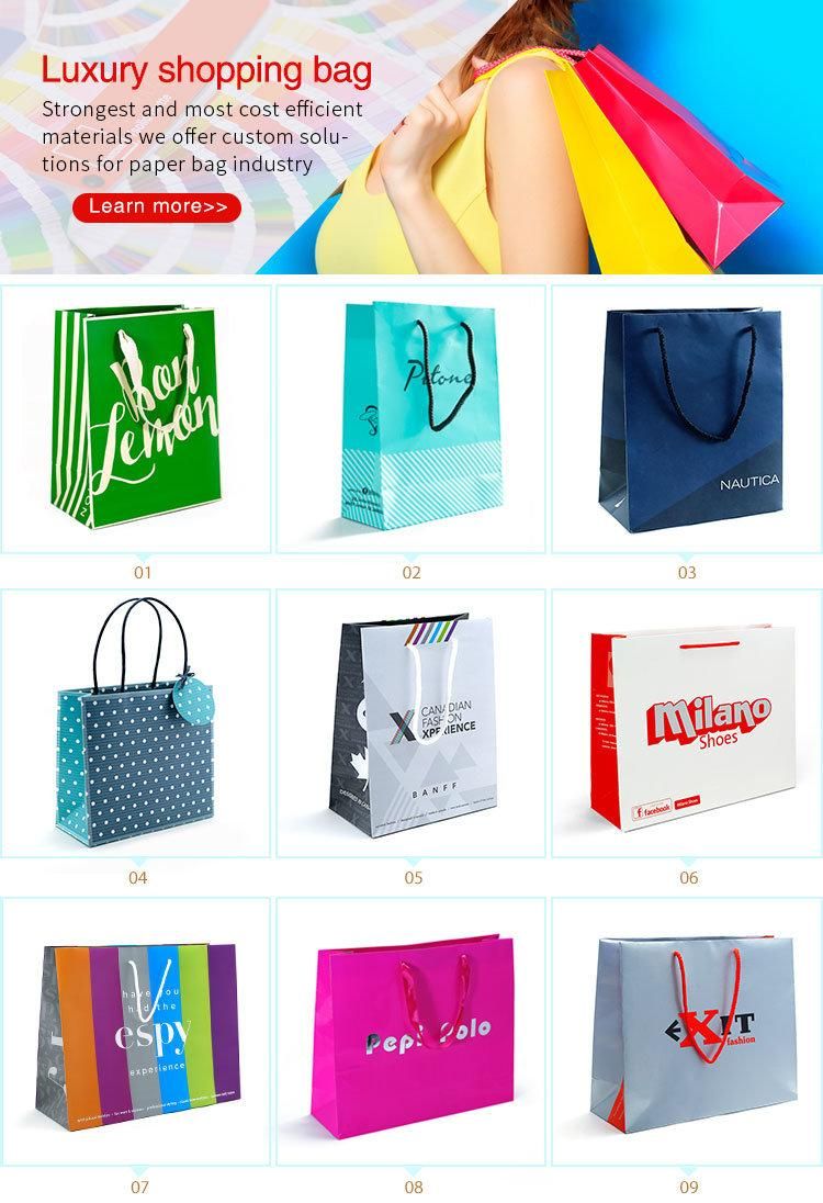 Special Shape Custom Design Logo Printed Coated Paper Shopping Bag
