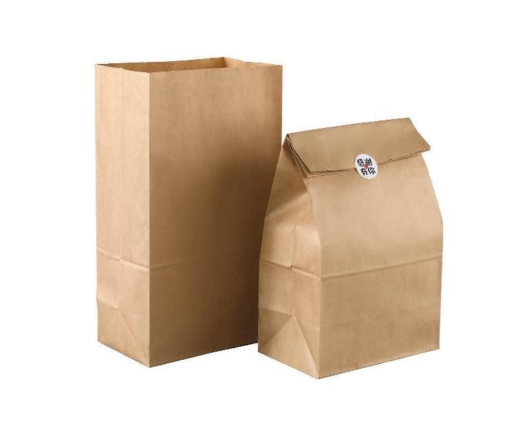 Food Bag/ Eco-Friendly Bag/ Kraft Bag/Coffee Pouch