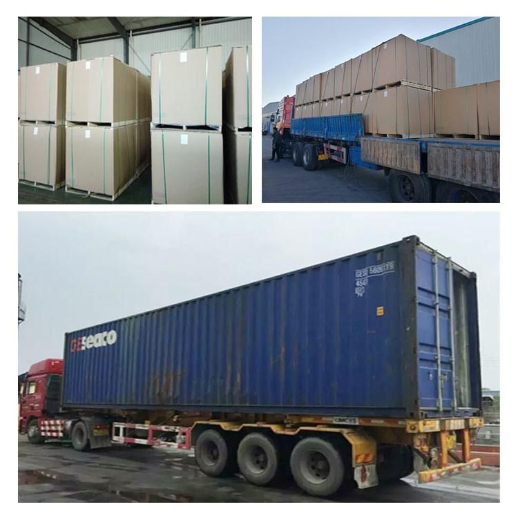 440ml Can Lid 202 Sot End Rpt