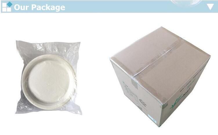 Eco Friendly 8*8 9*9 7*5 Inch 3 Compartments Compostable Bagasse Sugarcane Pulp Disposable Biodegradable Meal Food Box Compostable Clamshell Hamburger Tableware