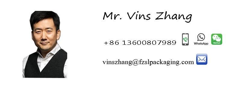 Customized Logo Lovely Coated Ivory Paper Bag for Shopping Gifts