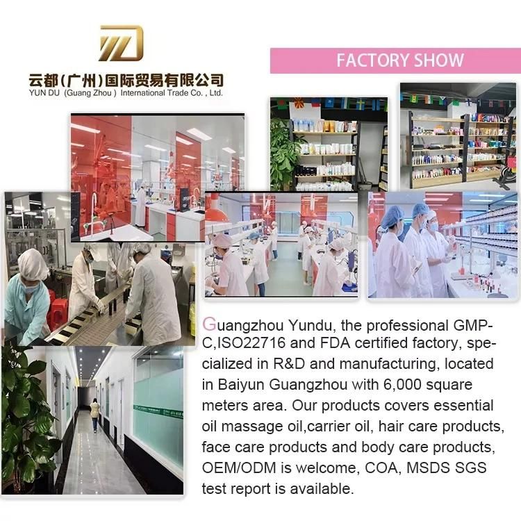Cosmetic Plastic Tube with Flip Cap for Cosmetic Cream Packaging