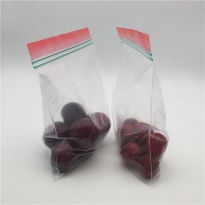 Cheap Price Custom Size Fruit Packaging Double Ziplock Bags