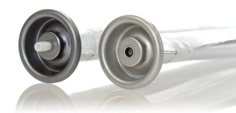 Eco-Friendly Plastic/Aluminium Sprayers/Pump for Facial Moisturizing Spray Packing Pain Reliever Aluminum Can Aerosol with ISO