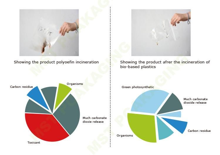 Custom Zipper Plastic Dead Sea Salt Packaging Bag