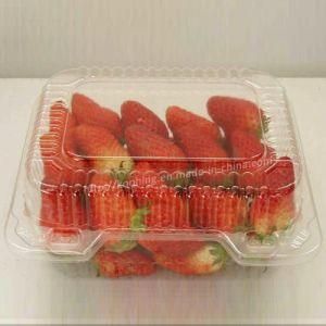 Clear APET Plastic Packaging for Fruits and Vegetable