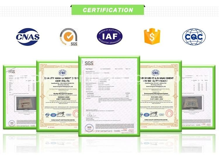 China Manufacturer 25kg 50kg 100kg White Polypropylene Woven Flood Sand/Fertilizer/Rice/Seed/Feed/Flour/Chemical/Sugar Plastic Packaging PP Bags with Handle