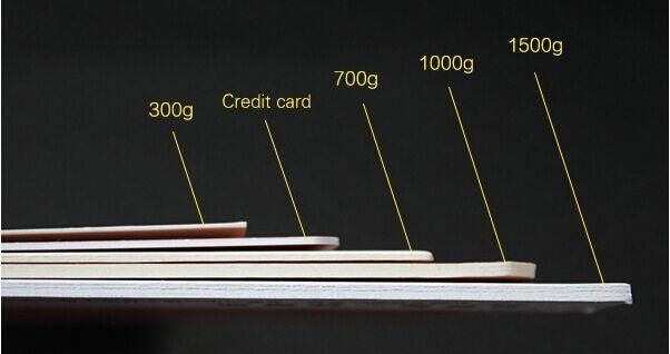 Custom Simple Hotel Club Emulsion Hang Label for Shampoo