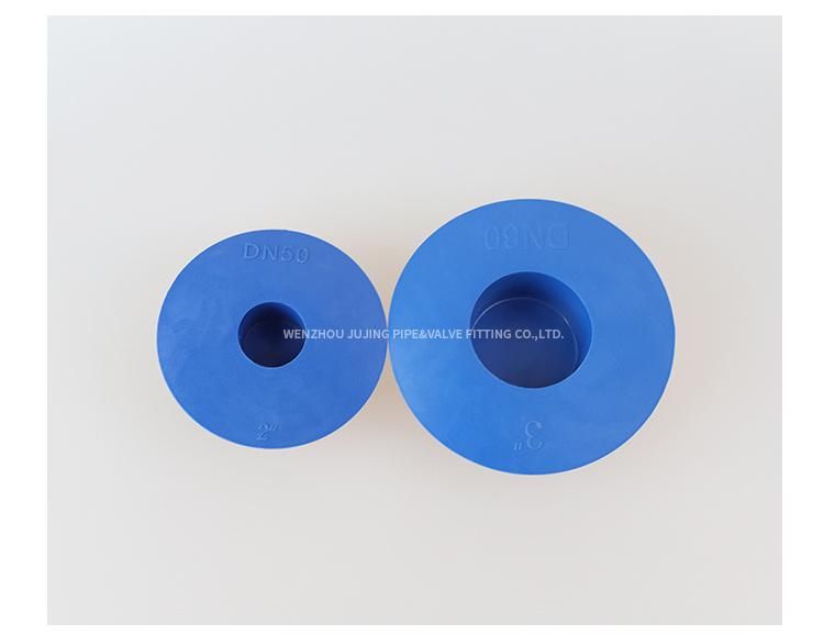 Valve Flange Face Protection Plugs