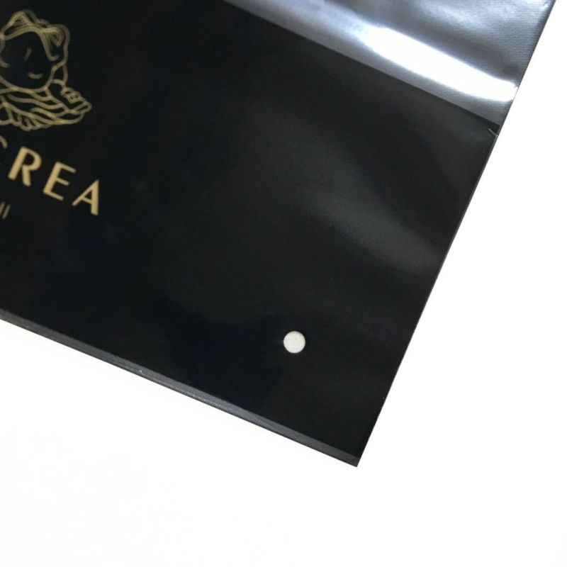 Zipper Bags Packaging Poly Bag for Clothing Custom Logo Plastic Bags