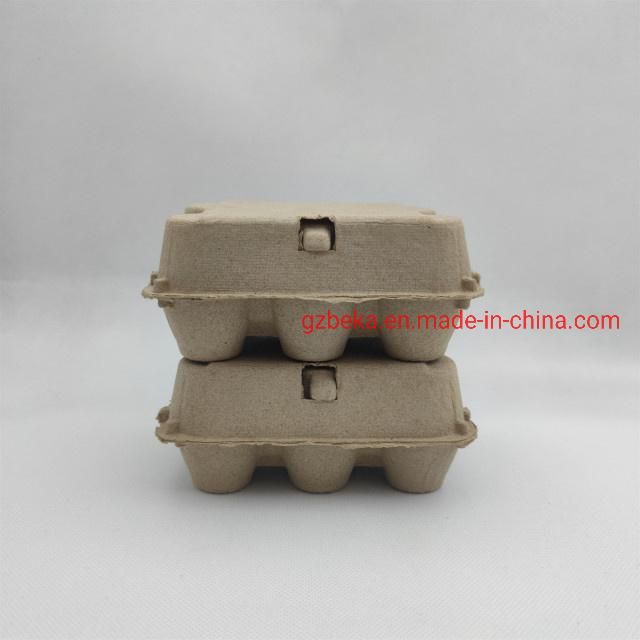 6 Holes Eco Friendly Egg Carton Biodegradable Pulp Egg Tray with Lid Recycled Egg Box