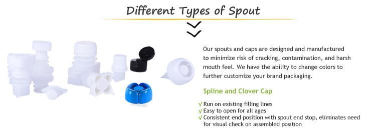 Custom Printing Recyclable Plastic Stand up Pouch with Spout for Water Packaging