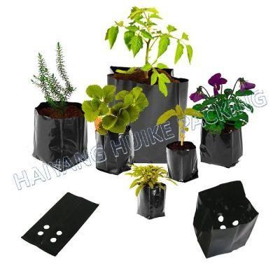 UV Resistant Perforated Polyethylene Plastic Seedling Bag for Planting