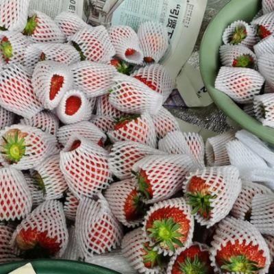 Fruit Net Foam Liquor Bottle Packaging Poly Netting Sleeve Rolls
