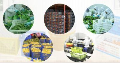 Folding Storage Bin Big Load Baskets Crates