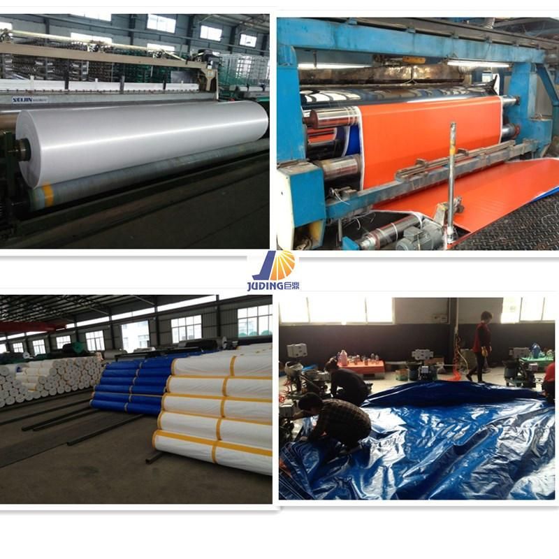 Rice Bag PP Woven Bag Feed Bag Flour Bag