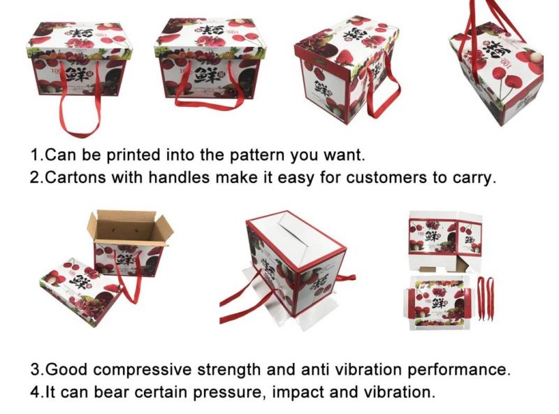 Folding Corrugated Paper Fruit Box Packaging Carton with Handle