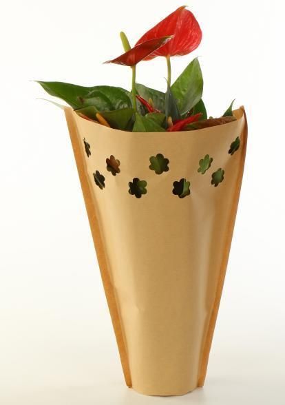 Green Paper Bags Eco Friendly Paper Bags White Kraft Paper Bags Vacuum Seal Packaging Paper Bag with Back Cover