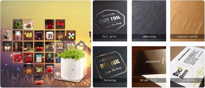 Folding Electronic Blister Packaging Boxes