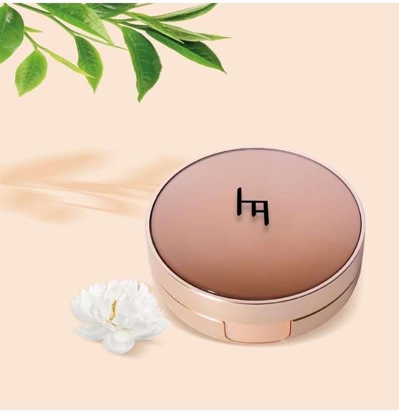 Qd21-Cat′s Eye Air Cushion Cosmetic Eyeshadow Packaging Eyebrow Case with Brush Have Stock