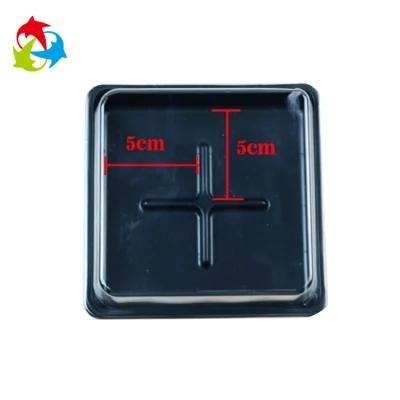 Free Samples Small Disposable Food Packaging Cake Container