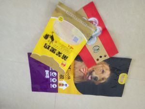2018 New Style Recyclable Die Cut Handle Plastic Bags with Own Logo