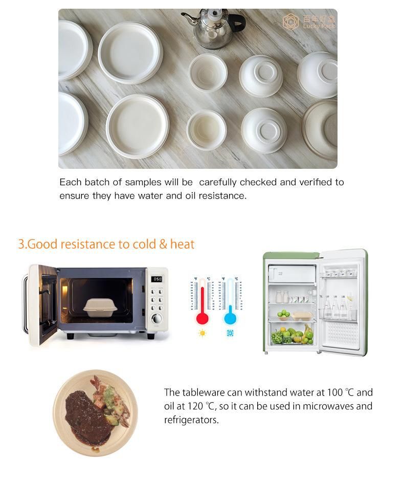 Biodegradable Compostable Disposable Sugarcane Food Container Bagasse Paper Food Packaging