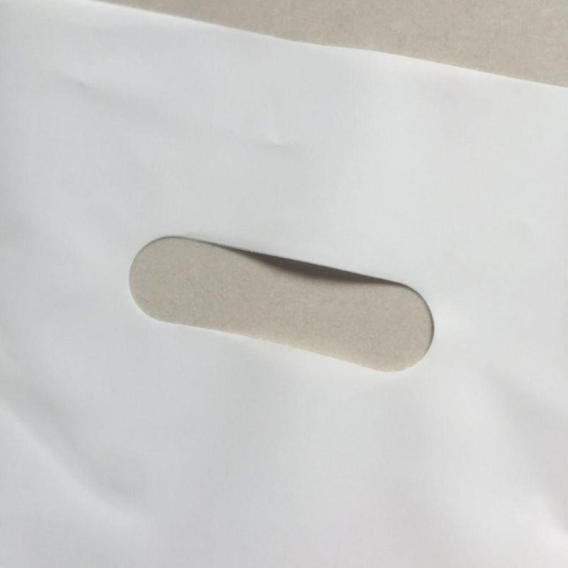 OEM Packaging Bags for Clothing Shopping Bag Plastic Bags