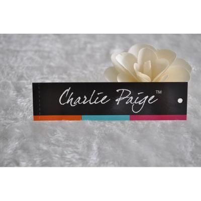 Fashionable Swing Tag USD on Garment/Bag/Shoes