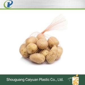 Washable Friendly Vegetable/Fruit Foldable Grocery Mesh Net Bag