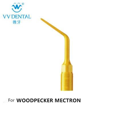 Dental Woodpecker Surgery Tips Scaling Equipment