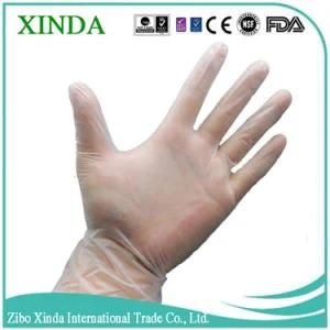 Disposable Vinyl Examination Gloves Powder Free and Lightly Powdered