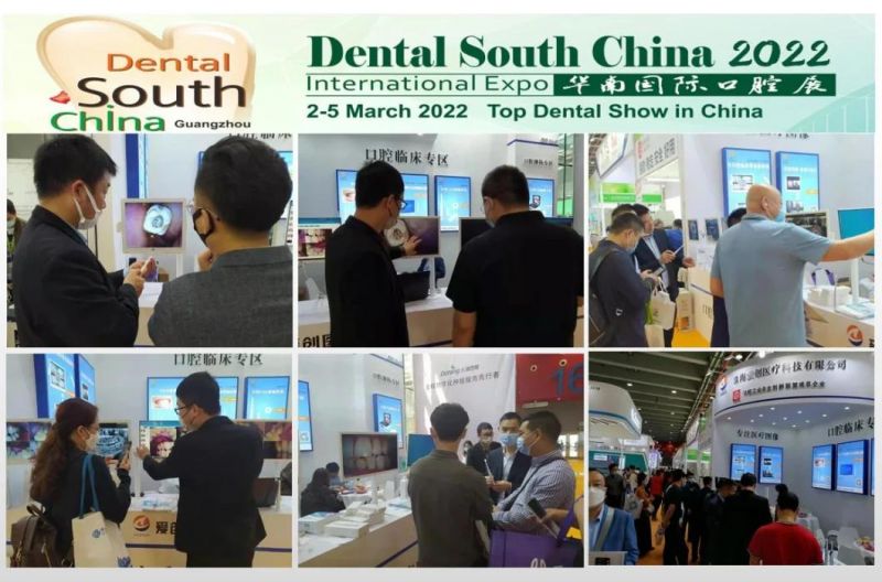 Factory Wholesale Wired USB Dental Camera Hardware/Software OEM Dental Camera