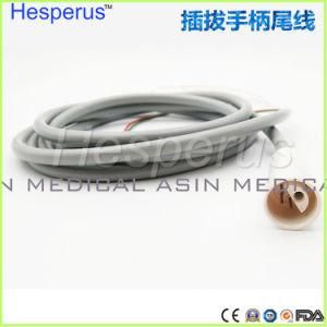 Original Woodpecker Detachable Handpiece HD-7h Tubing
