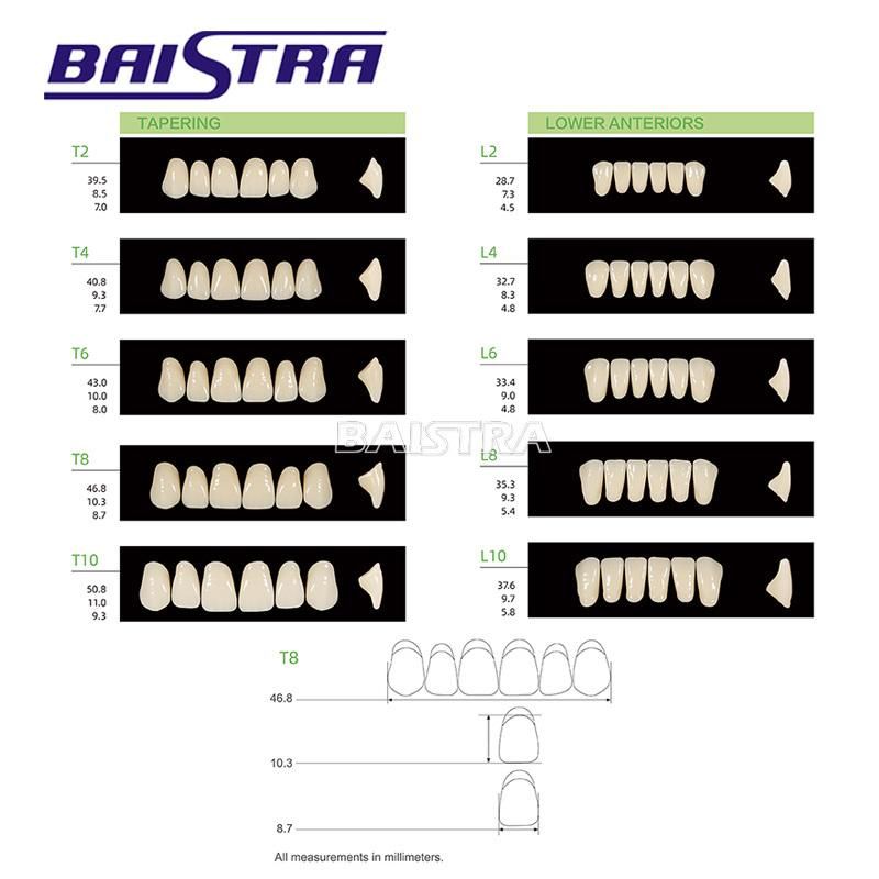 Dental Synthetic Polymer Teeth Resin Denture A2