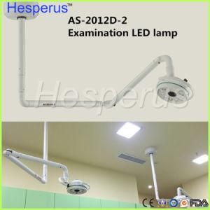 LED Shadowless Medical Operation Oral Lamp for Dental Implant Surgery Beauty